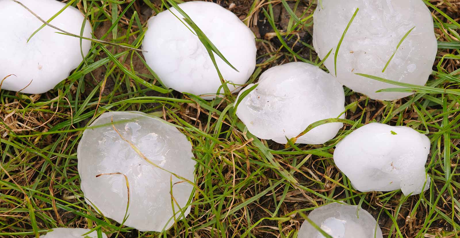 Iriqtaq hailstone picture 🔥 Hailstones SteemPeak